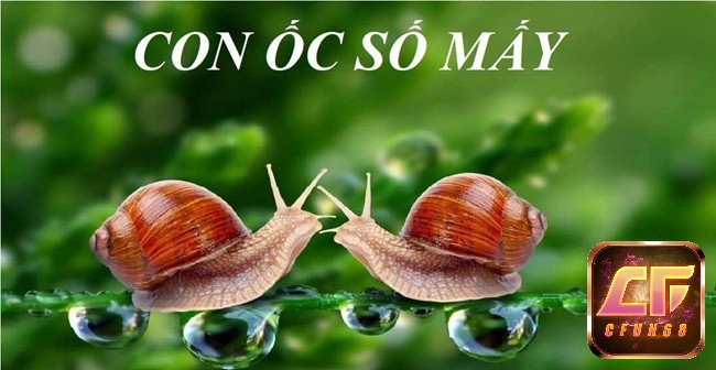 Đánh đề con gì dễ trúng khi chiêm bao thấy ốc?