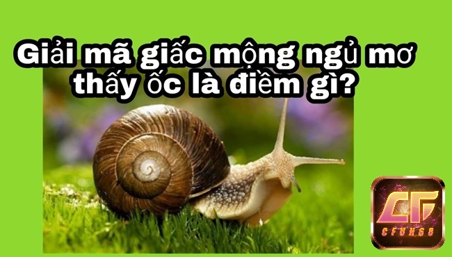 Mơ thấy ốc đại diện cho sự may mắn, thành công và tài lộc