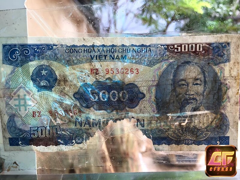 Mơ thấy tiền 5 nghìn có nhiều tình tiết thú vị